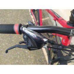 BICICLETA(SEGUNDA MANO) BERG 29''