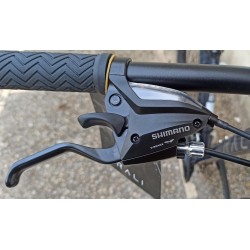 BICICLETA(NUEVA)RALI A1 29'' AZUL