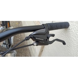 BICICLETA(NUEVA) RALI A1 29'' PLATA           NUEVA