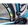 BICICLETA( SEMINUEVA)CARBONO TREK DOMANE  700