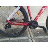 BICICLETA(NUEVA) RALI A1(29″)