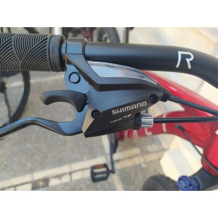 BICICLETA(NUEVA) RALI A1(29″)
