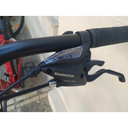 BICICLETA(NUEVA) RALI A1(29″)
