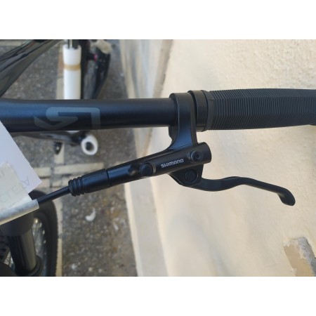BICICLETA(NUEVA) RALI ADVI (29″)